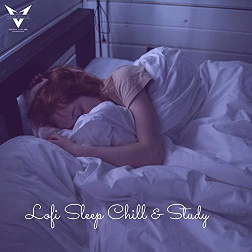 ALBUM LOFI SLEEP CHILL & STUDY - VPROD Publishing