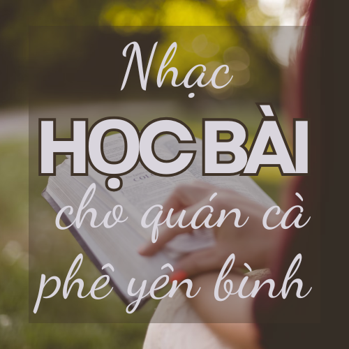 Nhạc học bài cho quán cà phê yên bình – Tập trung và thư giãn | AudioBay