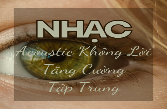 Playlist Spotify "Nhạc Acoustic Không Lời Tăng Cường Tập Trung" – Nâng cao hiệu suất làm việc