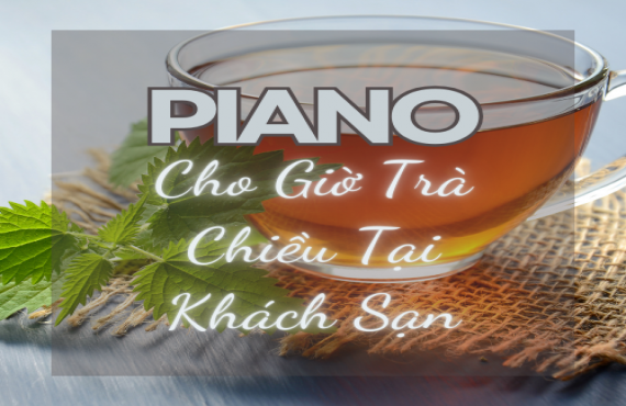 Playlist Spotify "Piano Cho Giờ Trà Chiều Tại Khách Sạn" – Âm nhạc tinh tế, thư giãn