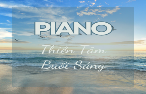 Playlist Spotify "Piano Thiền Tâm Buổi Sáng" – Âm nhạc nhẹ nhàng cho khởi đầu tĩnh lặng