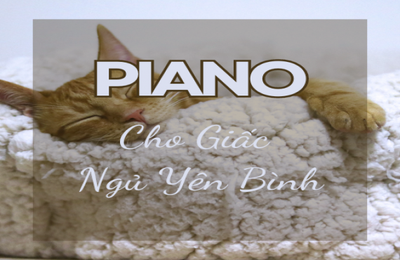 Playlist Spotify "Piano Cho Giấc Ngủ Yên Bình" – Âm nhạc thư giãn giúp bạn dễ ngủ