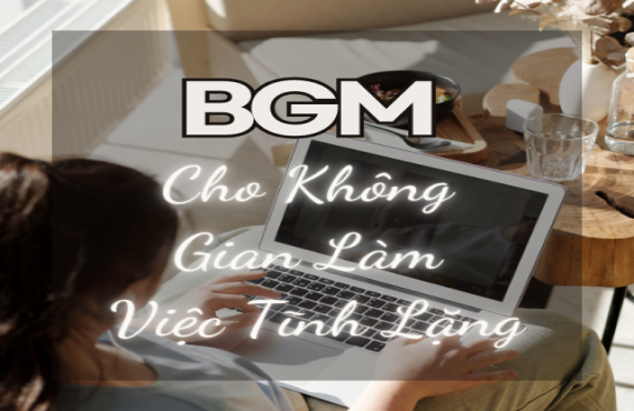 Playlist Spotify "BGM Cho Không Gian Làm Việc Tĩnh Lặng" – Nhạc nhẹ nhàng cho sự tập trung